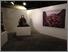 [thumbnail of Image of Ankemmyn exhibition]