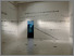 Installation View, 'Quinn: A Journey', Herbert Art Gallery & Museum, Coventry 4th Feb - 31st May 2020