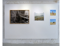 Installation Photograph