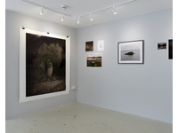 Installation Photograph