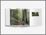 [thumbnail of Design mockup showing example inside page of book]