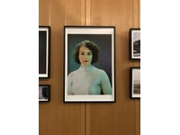 Installation image, Portcullis House, UK Parliament